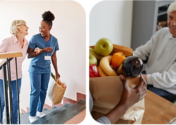 Aide-soignante accompagnant une personne âgée pour les courses, personne en fauteuil roulant recevant des fruits